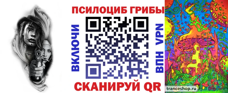 Купить где  Жуковка  Псилоцибиновые грибы Psilocybe 